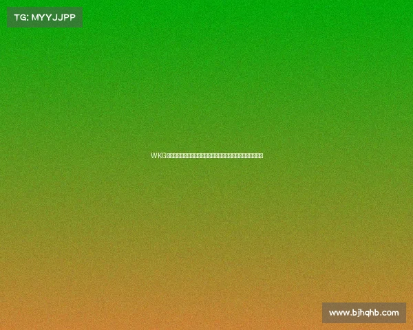 WKG格斗赛事热血开战全球顶尖高手齐聚擂台激战对决荣耀巅峰之战