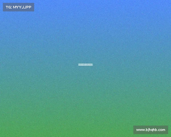 大型赛事志愿服务方案